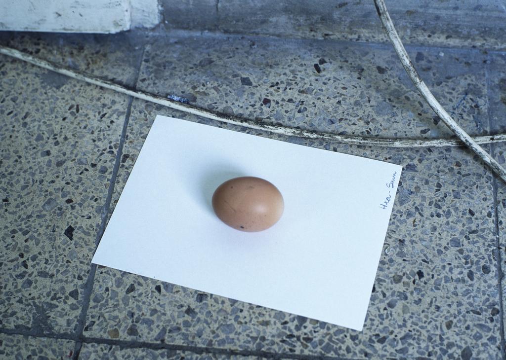 Egg for Hea-Sun