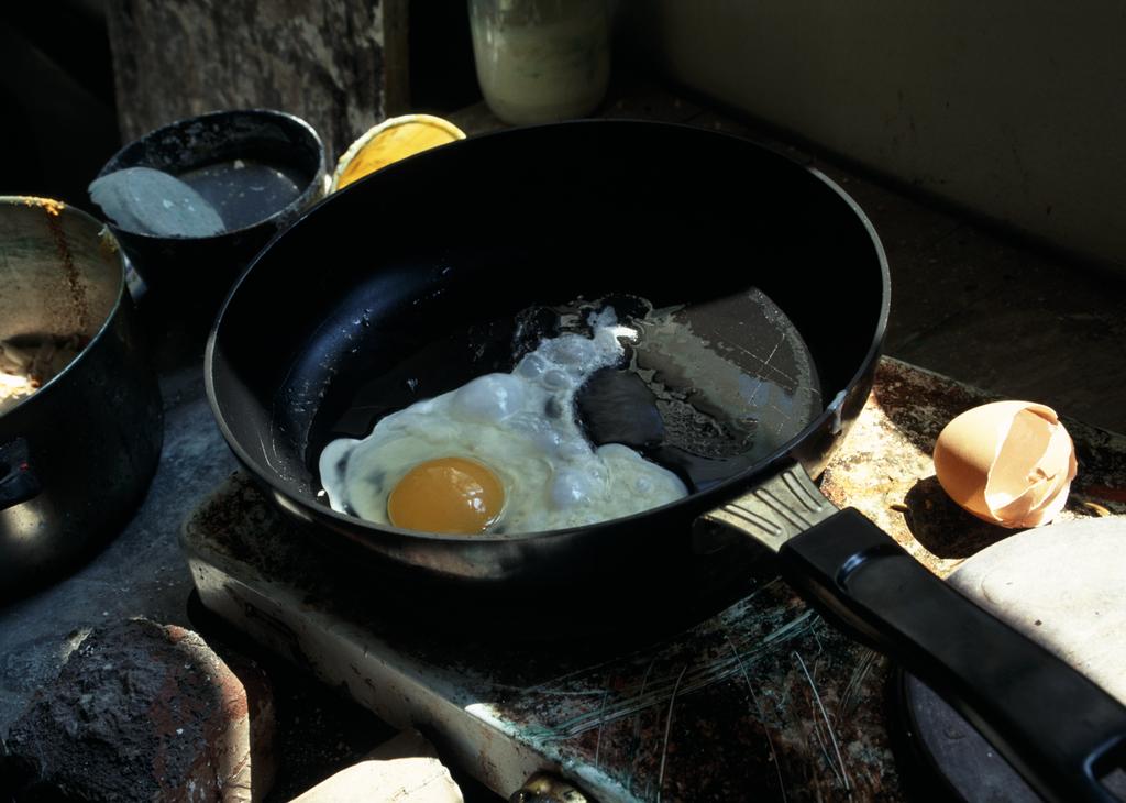 Egg (personal use)