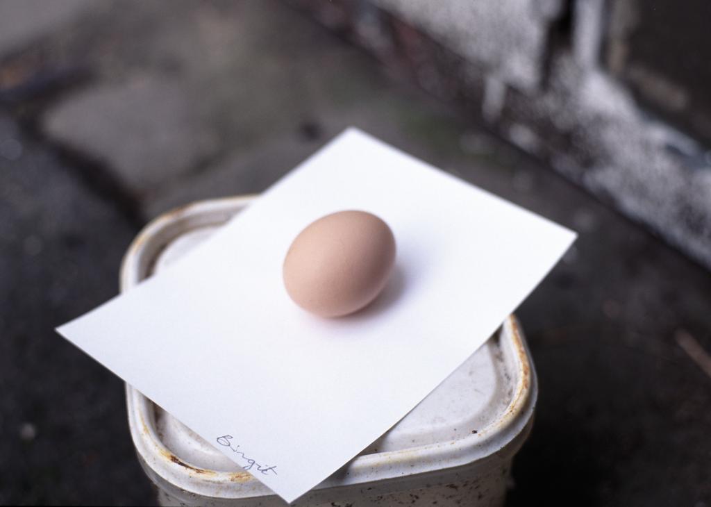 Egg for Birgit
