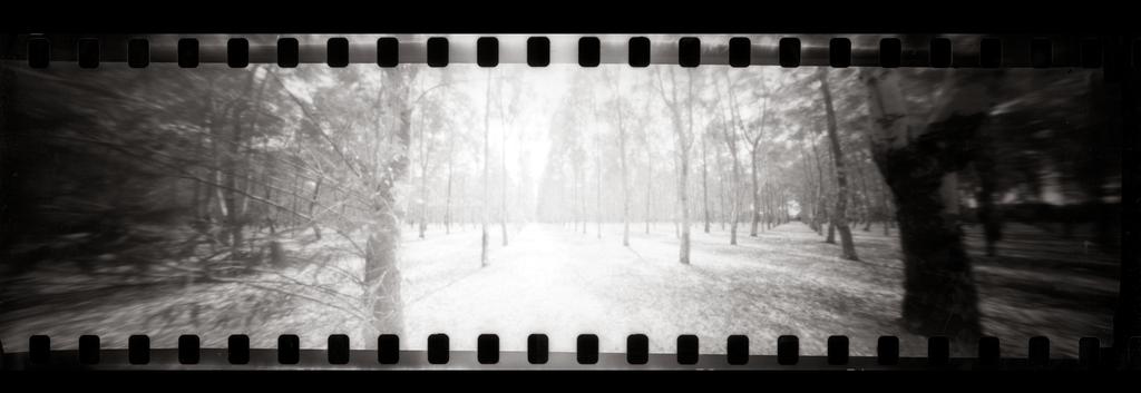 Fadeout landscape: Arborea
