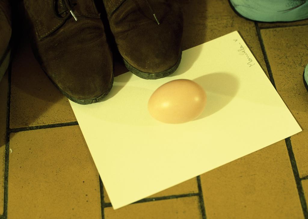 Egg for Manuela - V