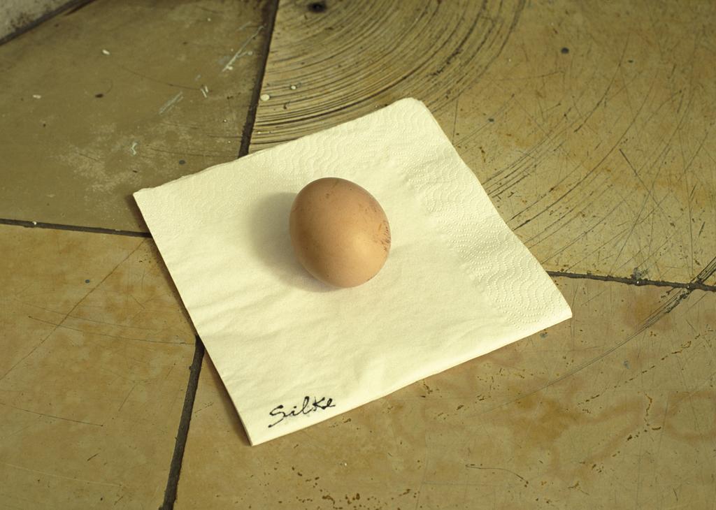 Egg for Silke