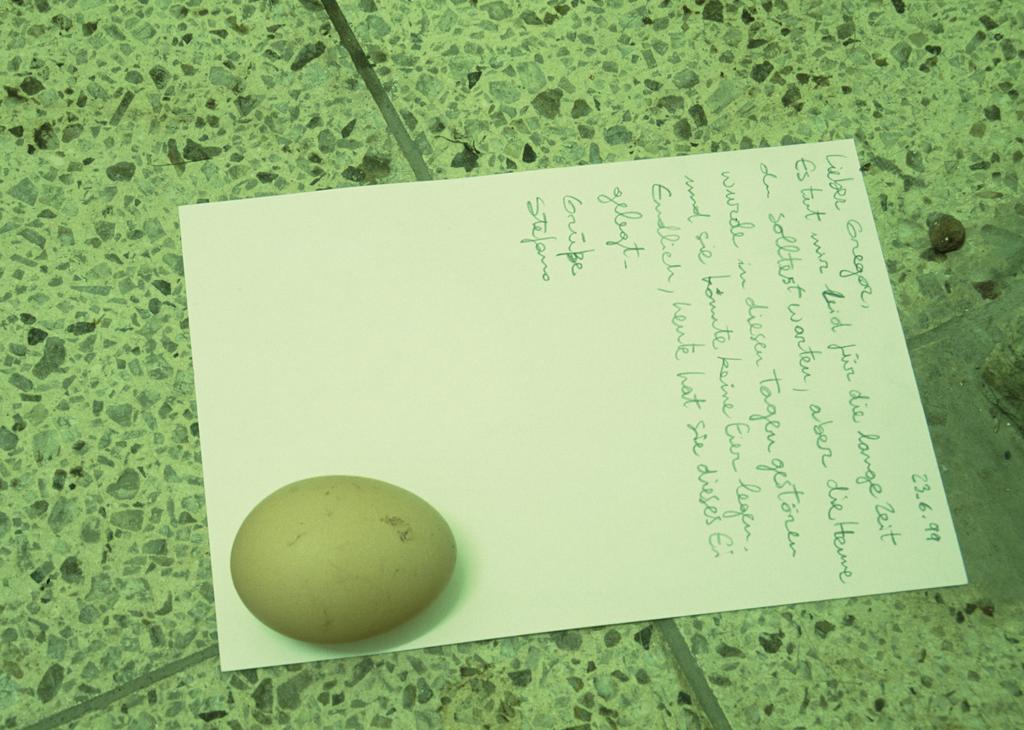 Egg for Gregor (after the strike)