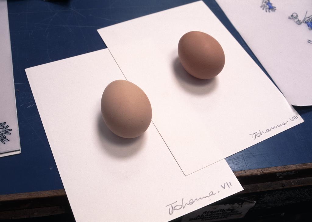 Eggs for Johanna - VII, VIII