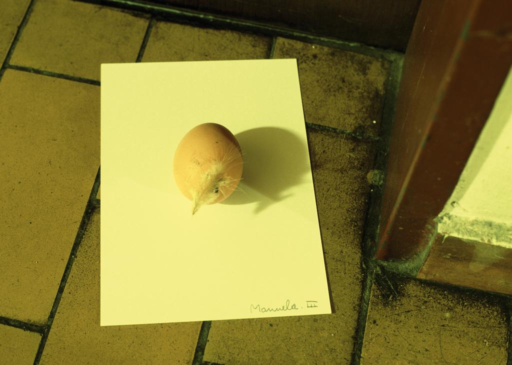 Egg for Manuela - III