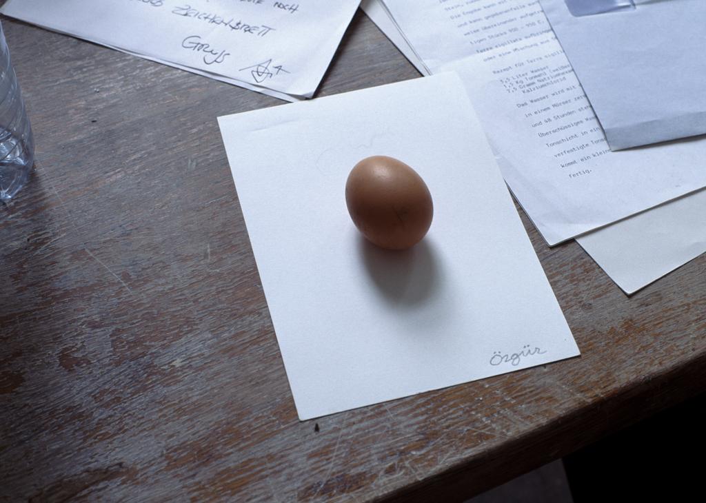 Egg for Özgür