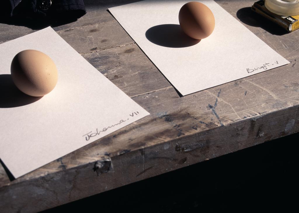 Packaging eggs for Johanna (VII) and Birgit (V)