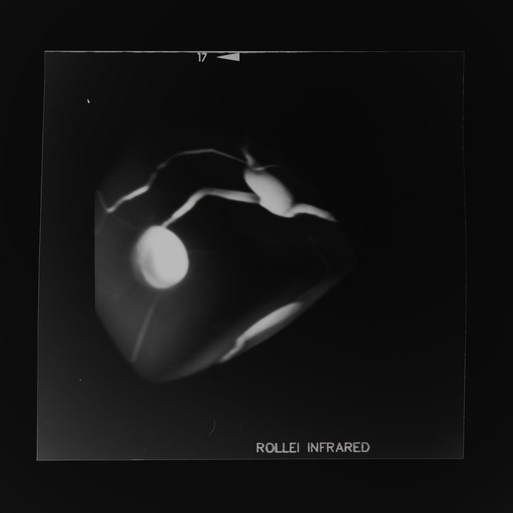 28 Oscillators #27