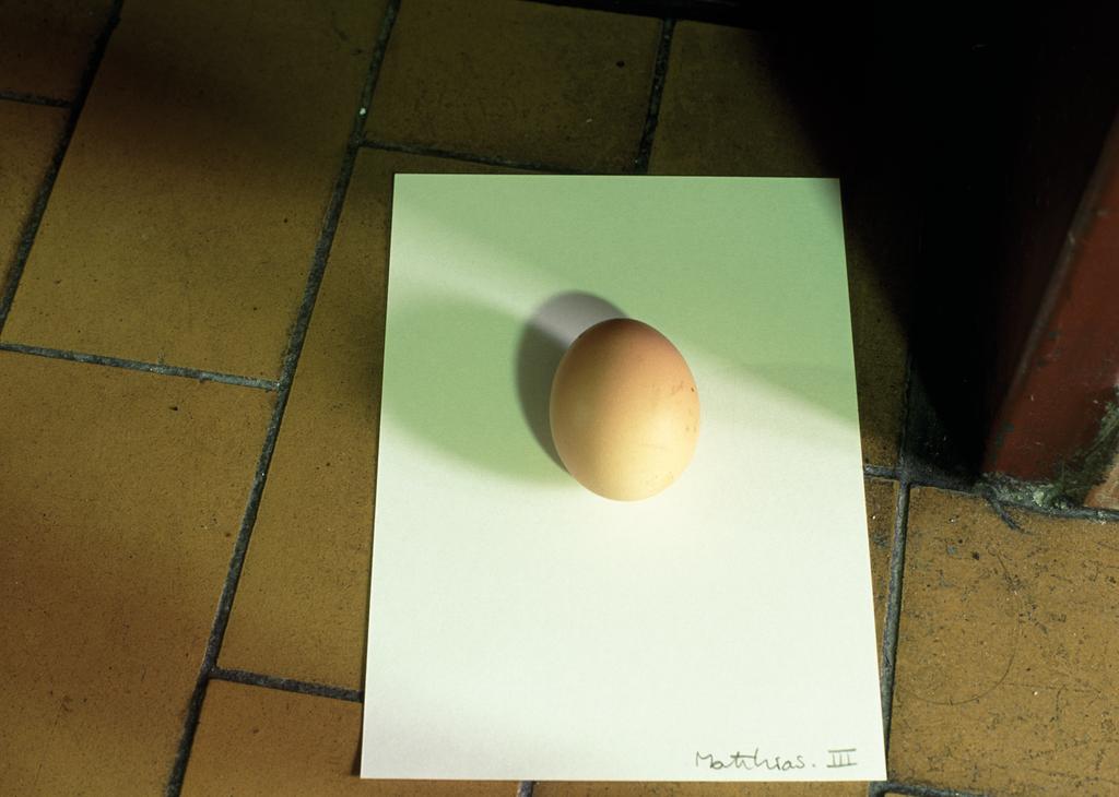 Egg for Mathias - III