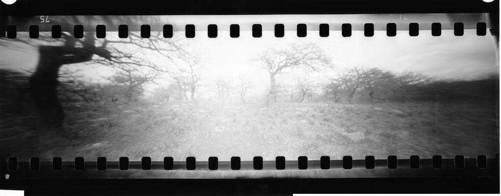 Fadeout landscape: Campeda