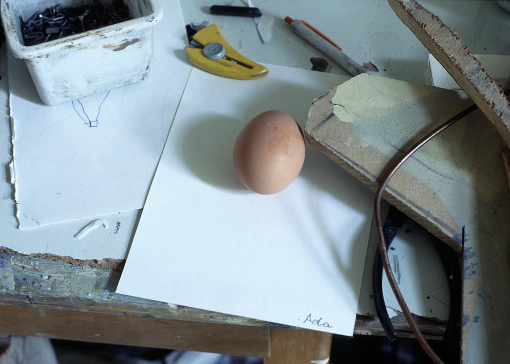 Egg for Ada