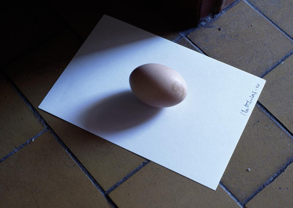 Egg for Matthias - IV