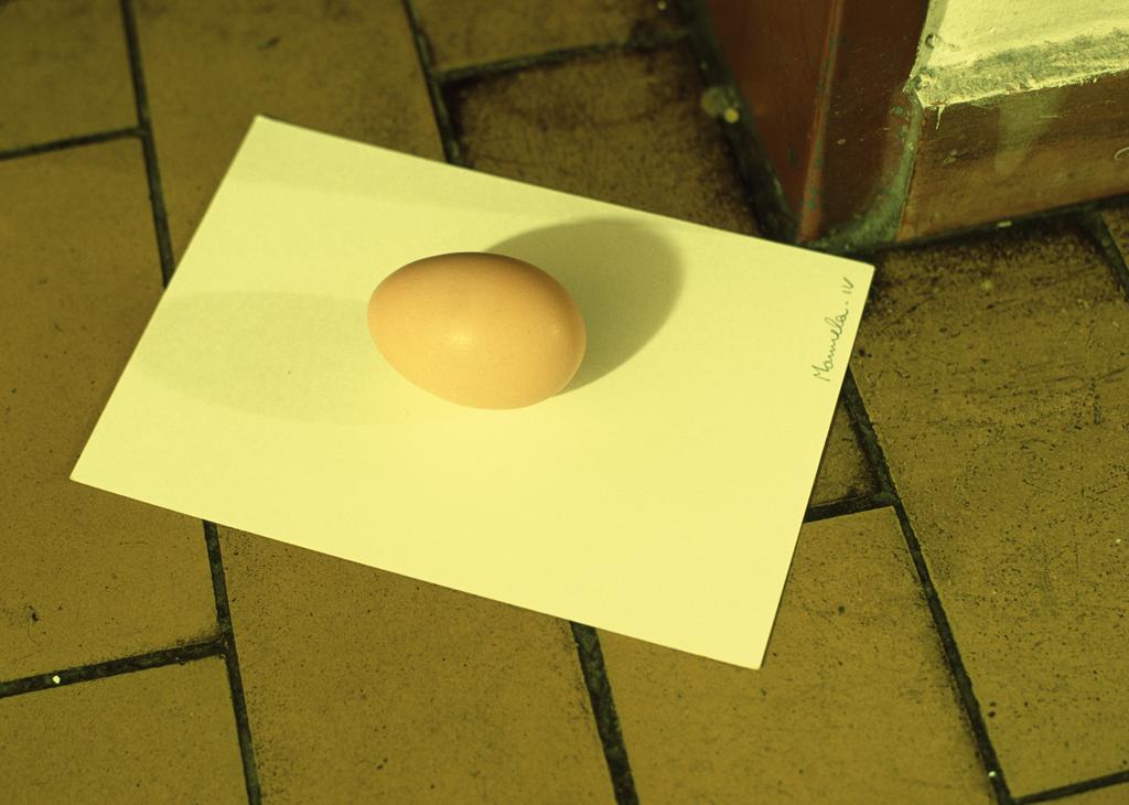 Egg for Manuela - IV