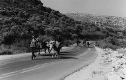 International volunteers returning from Tell
