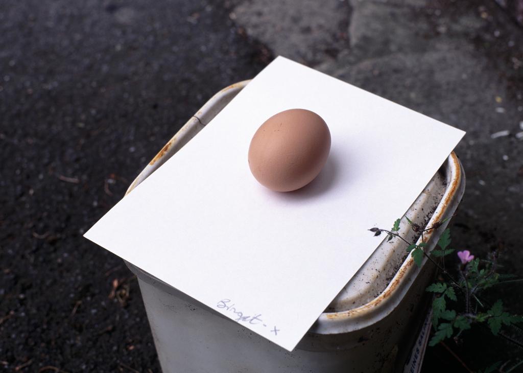 Egg for Birgit - X